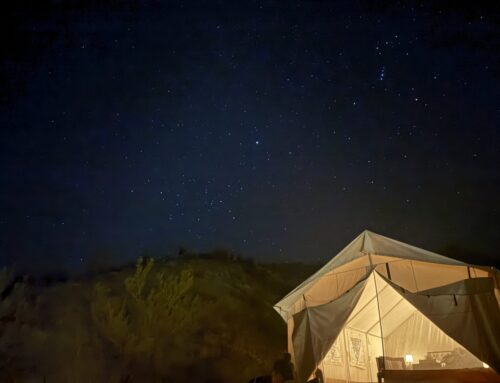 Celebrating Earth Day at Vegas Glamping