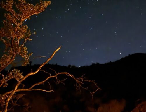 Stargazing
